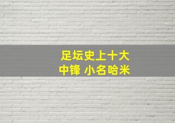 足坛史上十大中锋 小名哈米